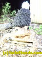 /home//u458753944/public_html/sourcegallery//Roxborough Toad Detour/2020/2020-04-05/92437752_10222212435608768_4089526958554087424_o.jpg